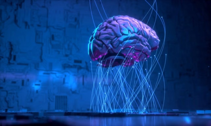 巴音郭楞信创改造：你的开发团队为何必须具备多样性？